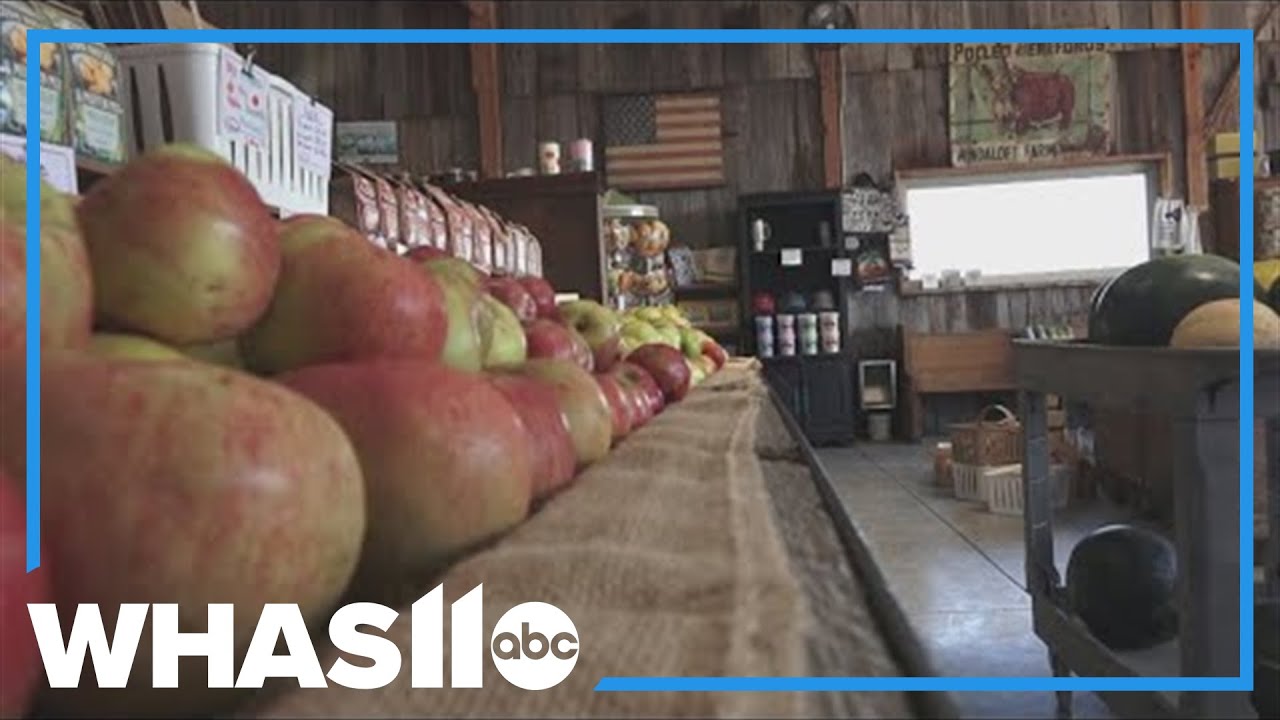 Mulberry Orchard in Shelbyville kicks off fall with apples, pumpkins, and hayrides
