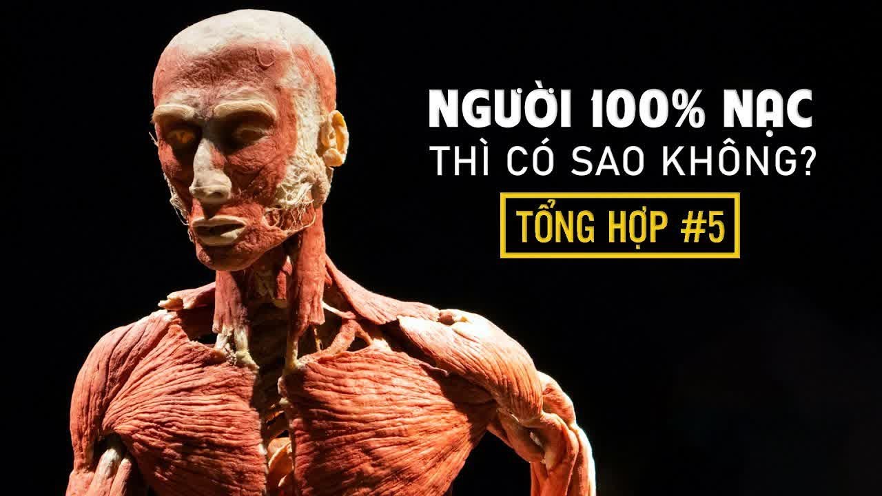 #814 Người 100% Nạc Thì Có Sao Không? | Siêu Tổng Hợp Bạn Hỏi VFacts Trả Lời #4