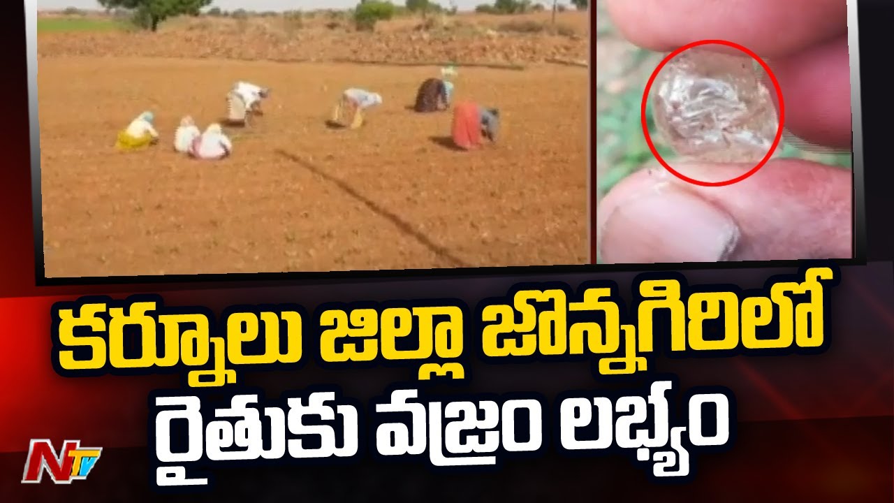 Diamonds Found In Jonnagiri Kurnool District | Diamond Hunt In Kurnool District | Ntv