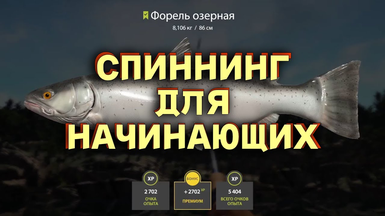 Русская Рыбалка 4 - Спиннинг для начинающих