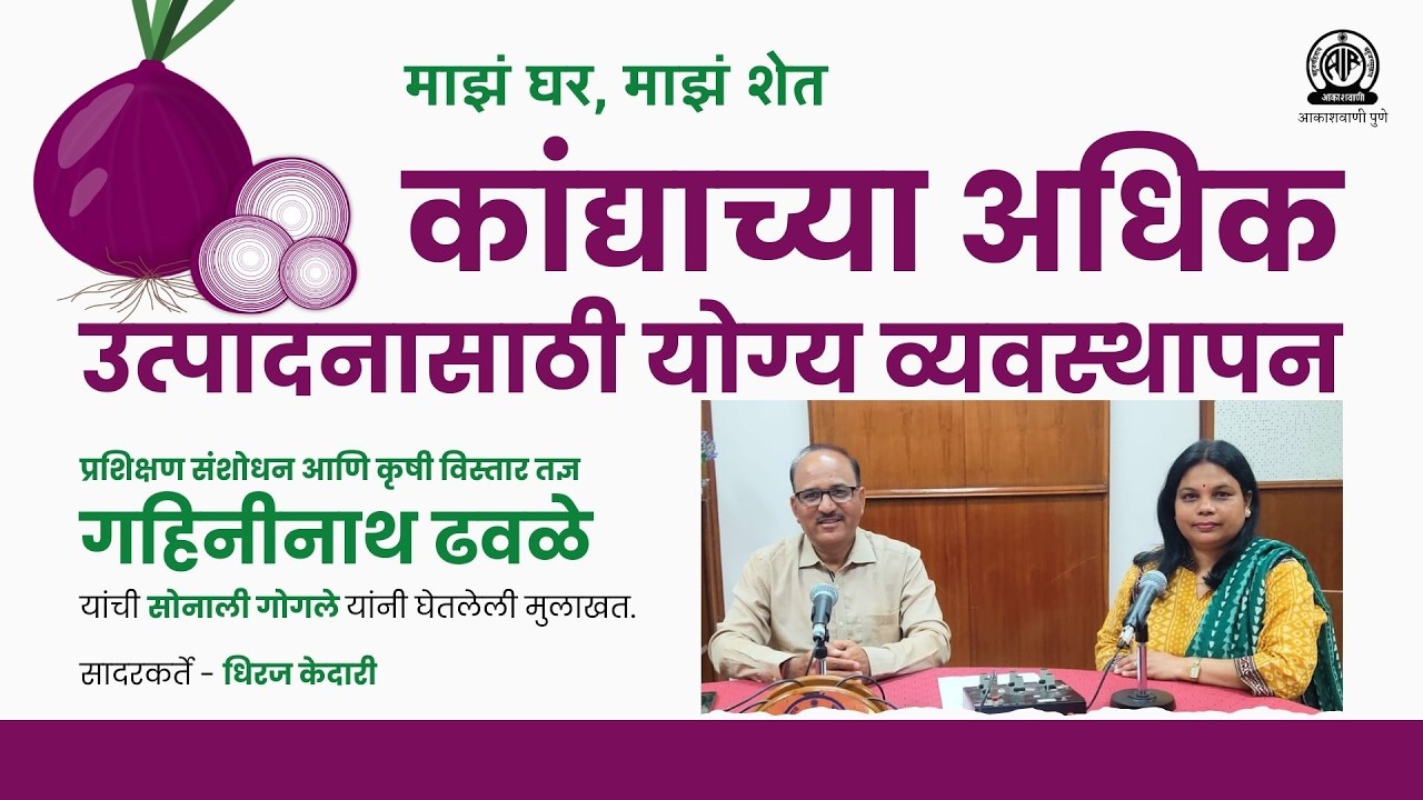 माझं घर, माझं शेत । कांद्याच्या अधिक उत्पादनासाठी योग्य व्यवस्थापन । गहिनीनाथ ढवळे
