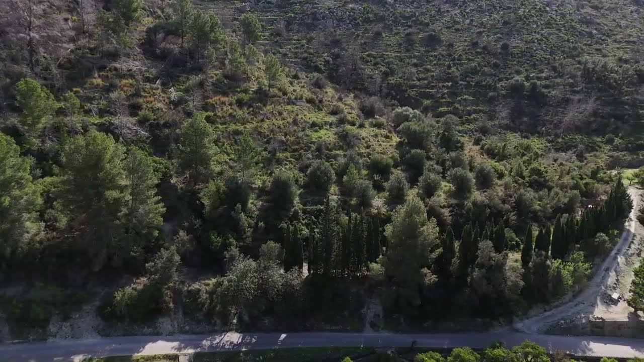 nudo en faja camino Segaria