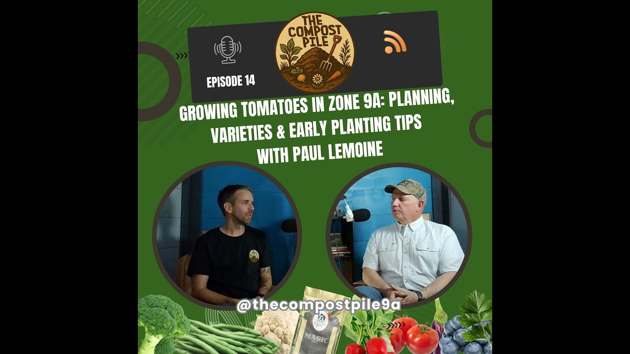 Growing Tomatoes in Zone 9a: Planning, Varieties & Early Planting Tips with Paul Lemoine