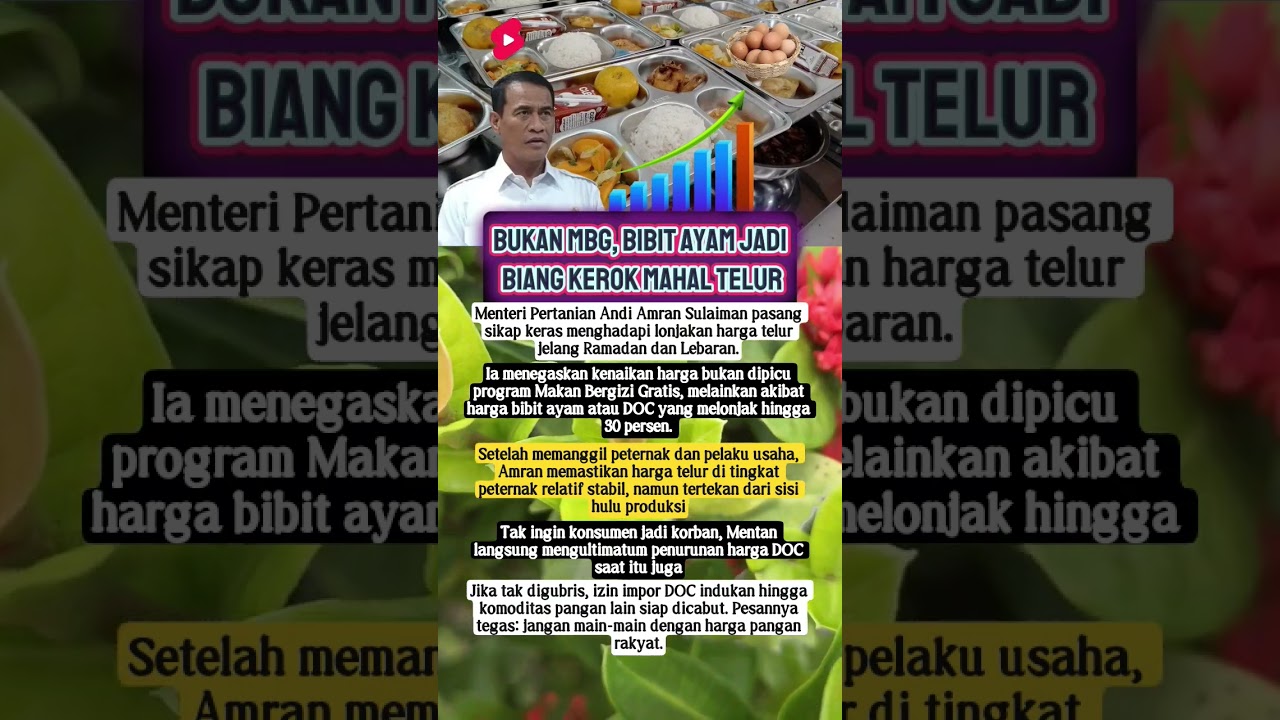 Harga Telur Meroket‼️, Mentan Ancam Stop Impor Bibit Ayam‼️🔥