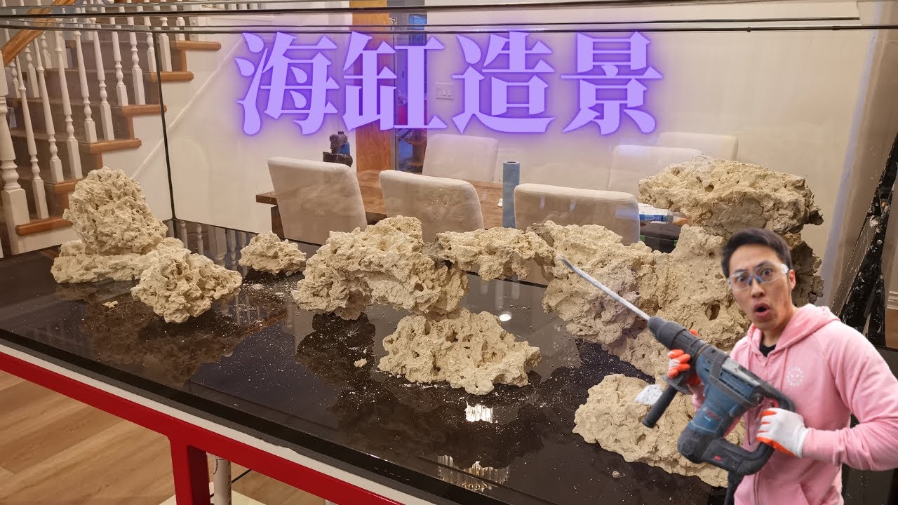 800升海缸造景秘籍！
