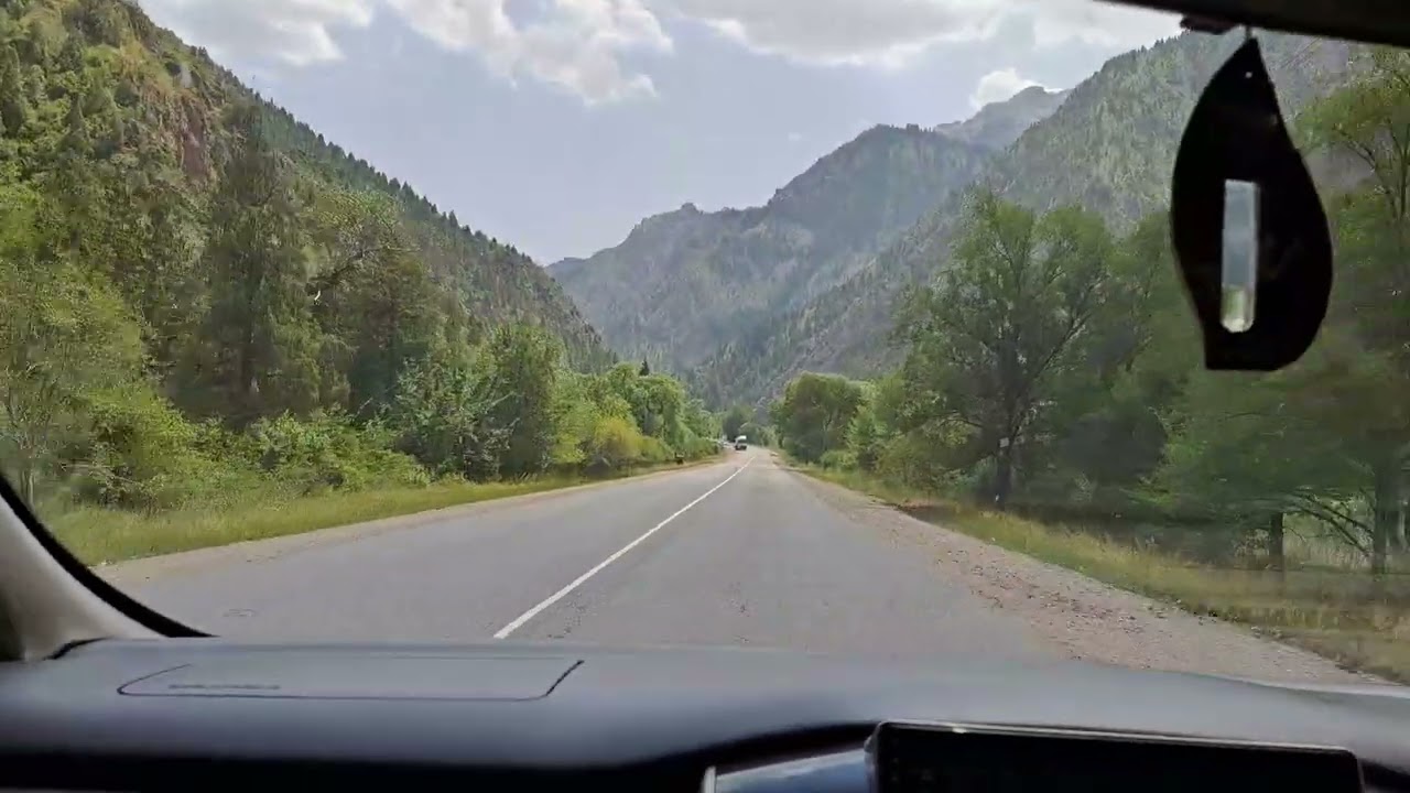 Жолдо Чычкан