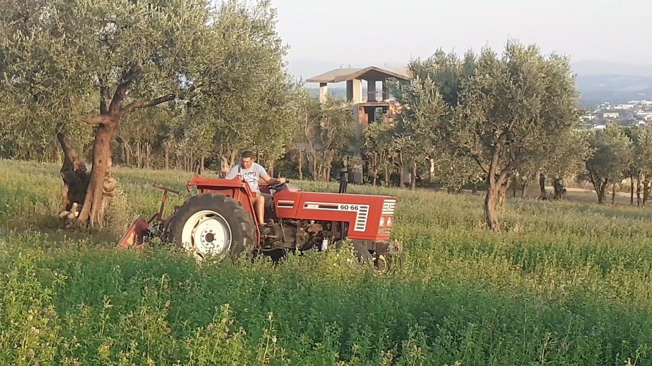 FIATAGRI 60-66 - barra falciante GASPARDO | FALCIATURA MEDICA