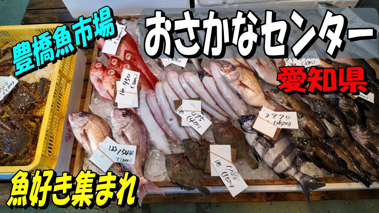 【豊橋魚市場】おさかなセンター　市場は地元の漁師たちが水揚げしたばかりの新鮮な魚を直接仕入れる場所。今回はこの魚を買うことができました。