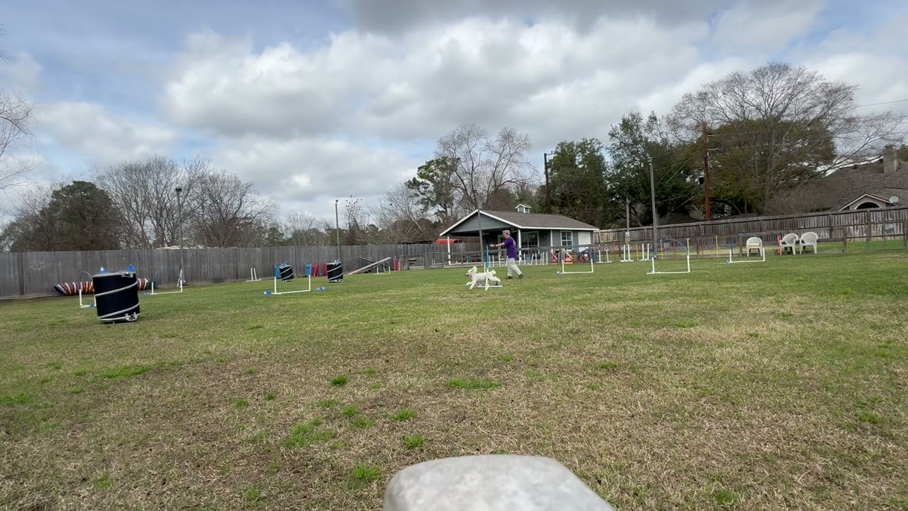 Blast, Elite Grounders, Cinch, Round 2, 2/17/26