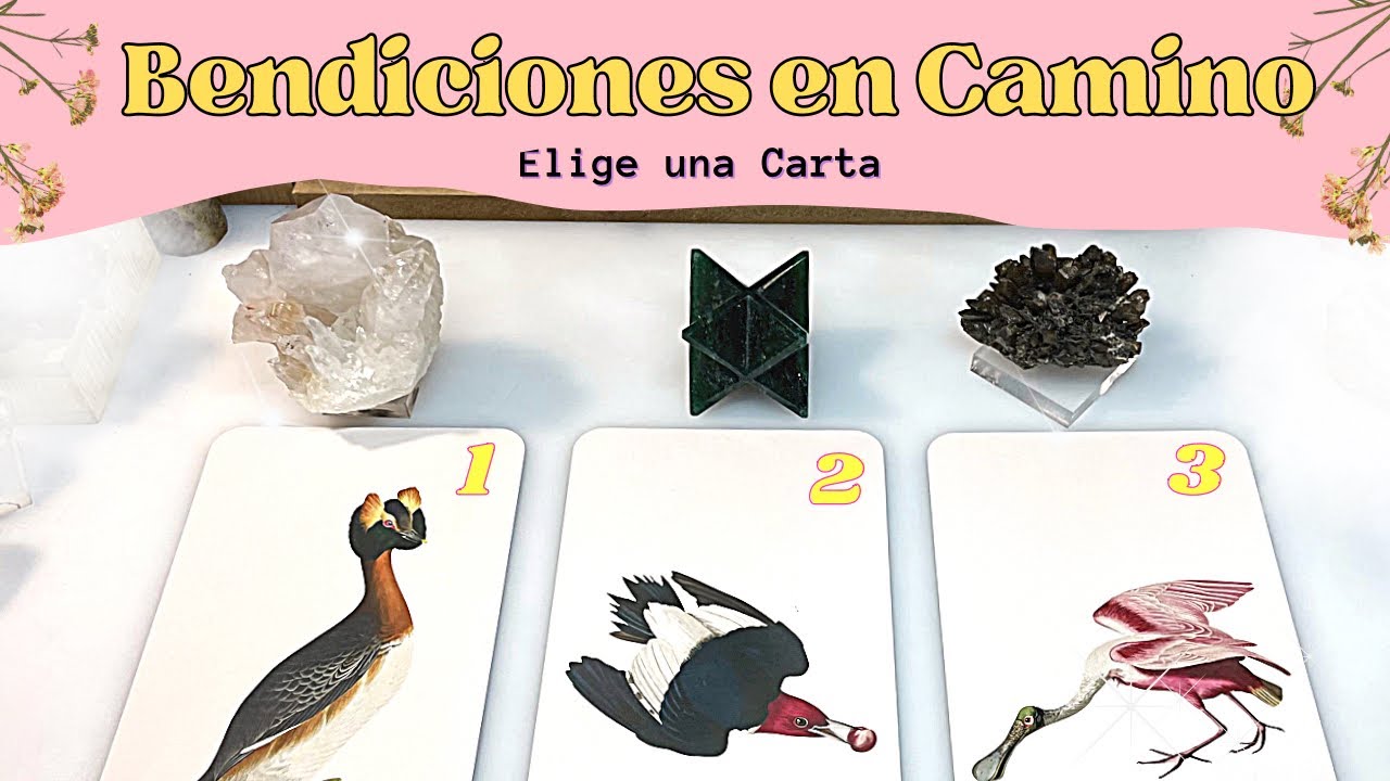 SORPRESAS Y BENDICIONES EN CAMINO- Elige una Carta - Tarot Interactivo