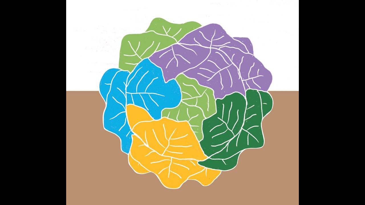 Situez votre ferme sur la voie de la transition agroécologique avec OASIS !
