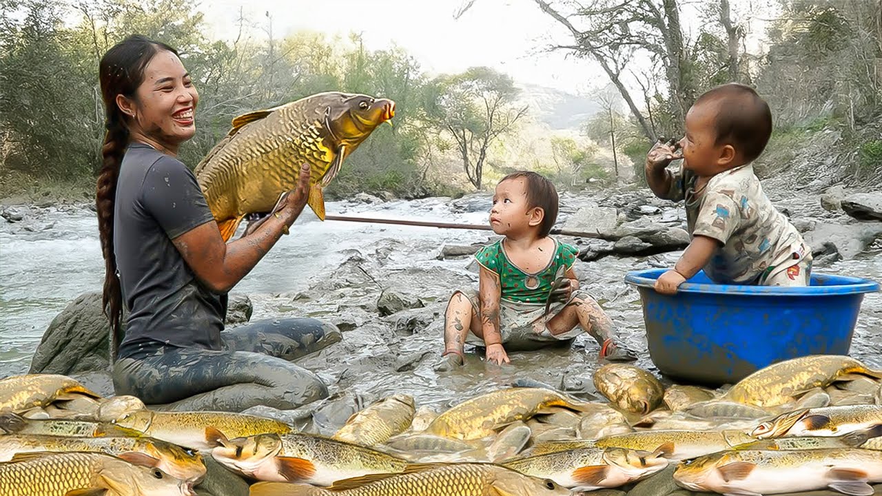 Barehand Fishing: Duong Family uses Fish Traps and Harvests Lots of Giant Stream Fish | Village Life