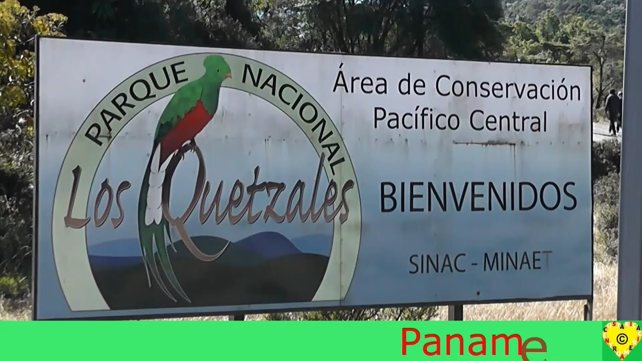 Parque Nacional Los Quetzales Costa Rica