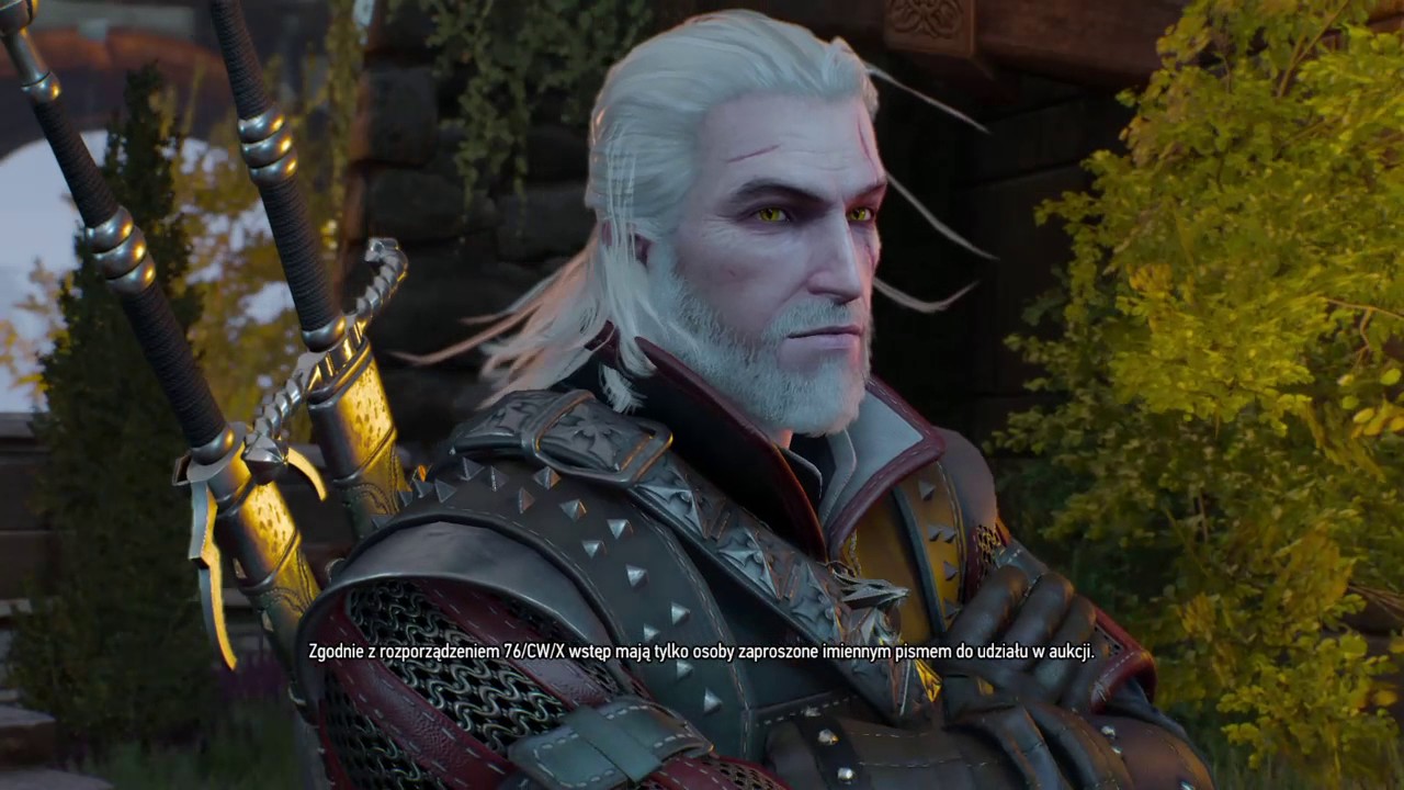 Wiedźmin 3: Starszy szeregowy Vaclaw