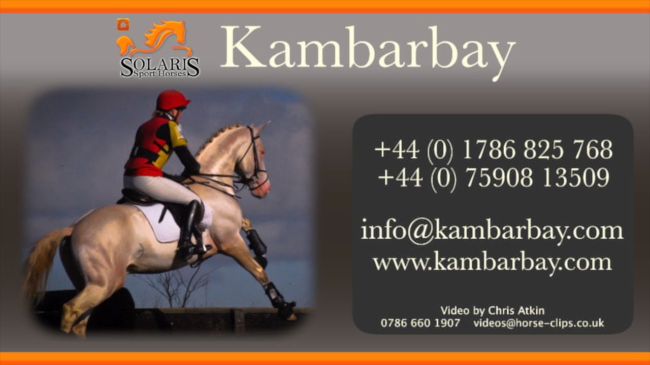 Perlino Akhal Teke Stallion: Kambarbay