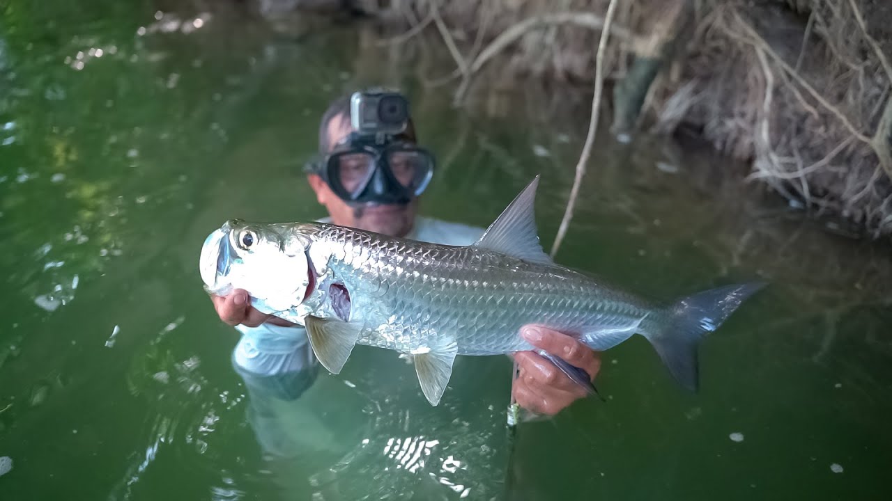 Pescamos muchos PECES en poco tiempo PESCA COCINA y acampando