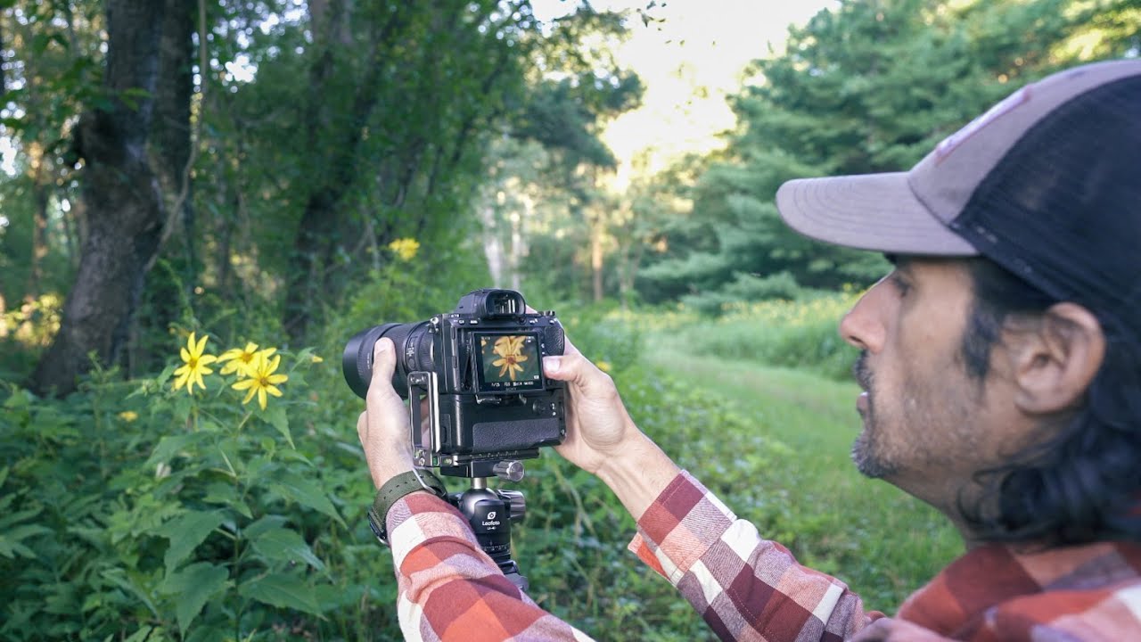 Shooting Macro Photography with the Sigma 105mm f/2.8 with Sony A7 III | Nature Photography