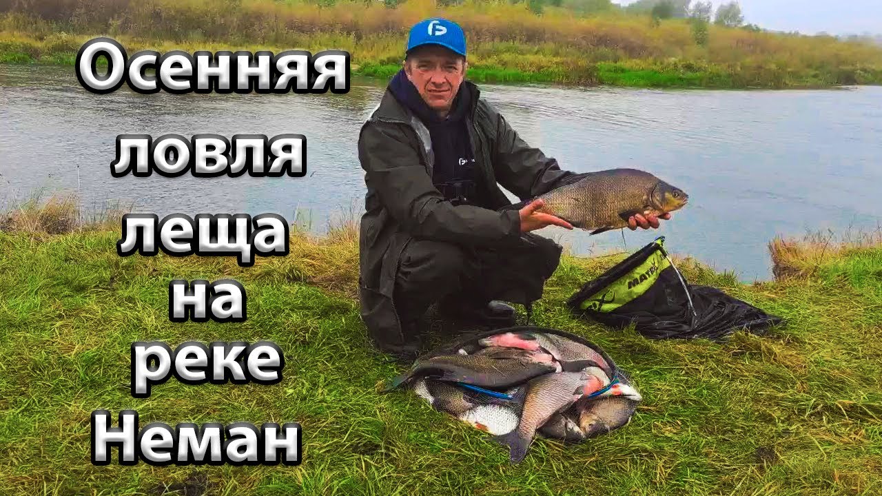 Осенняя  ловля леща  на реке.