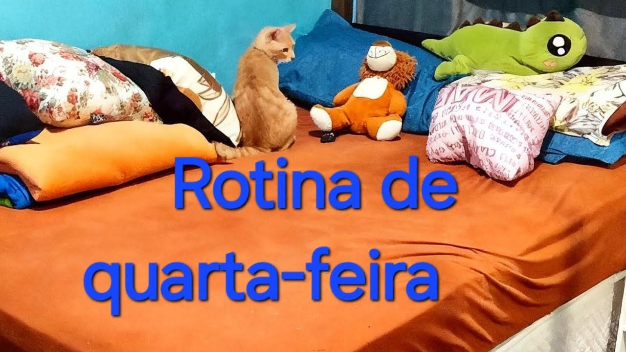 Rotina de quarta-feira 