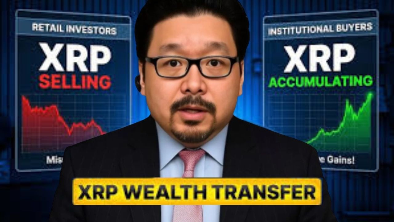 5000 XRP — это гораздо мощнее, чем вы думаете.
