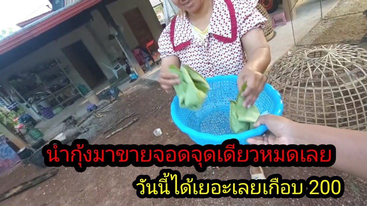 นำกุ้ง ไปขายจอดจุดเดียวถูกเหมาหมดเลย#จิตอาสา 