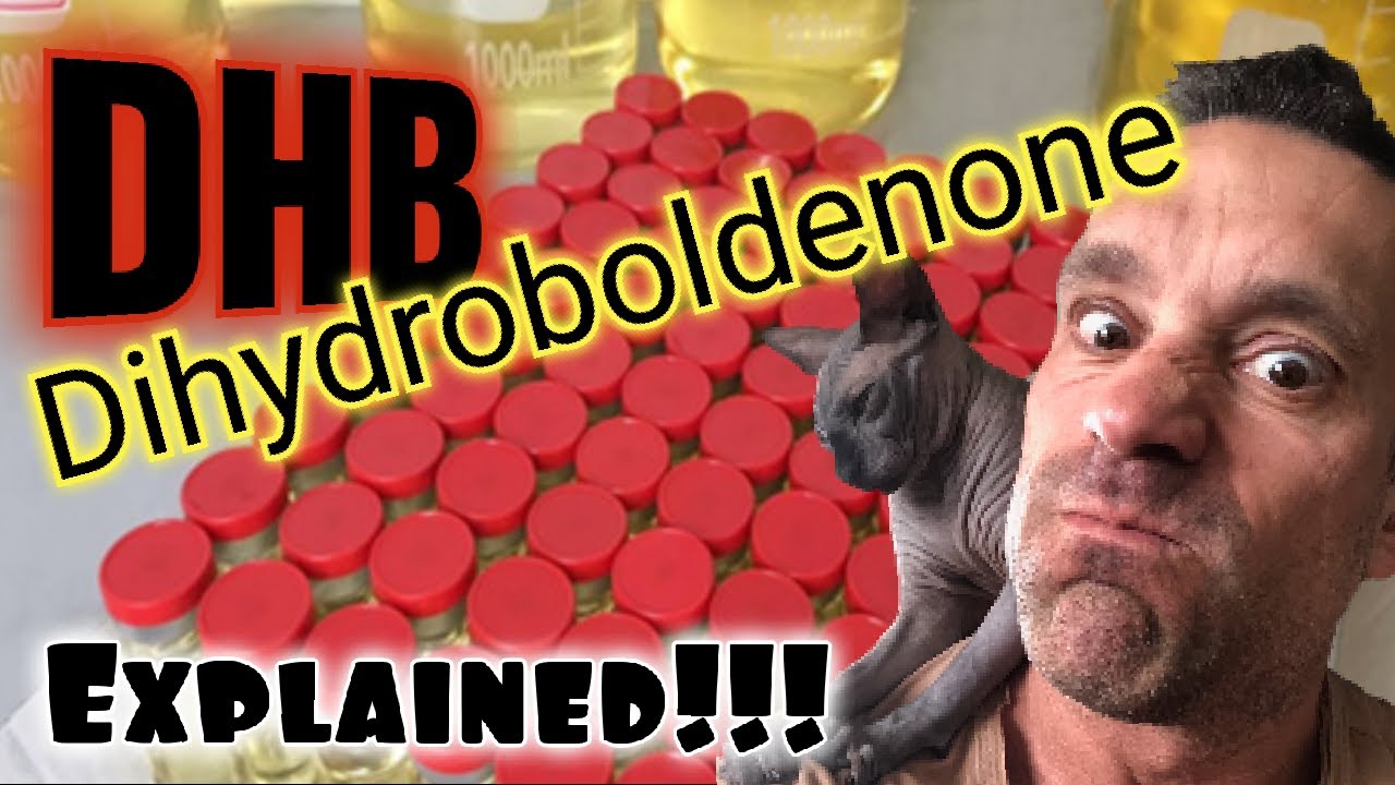 DHB Dihydroboldenone Explained!!!