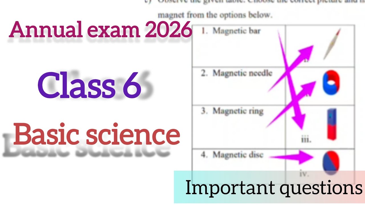 Естествознание, 6 класс | Годовой экзамен 2026 | Важные вопросы и ответы