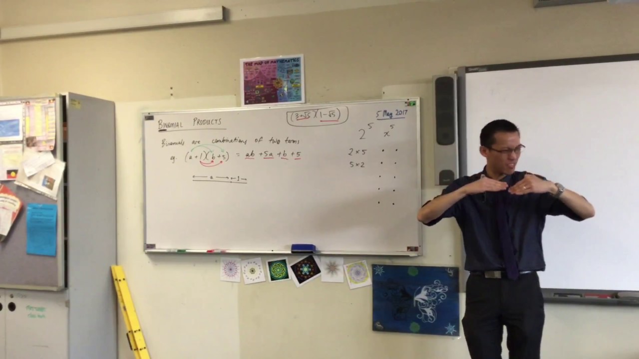 Binomial Products (1 of 2: Visualising the expansion)