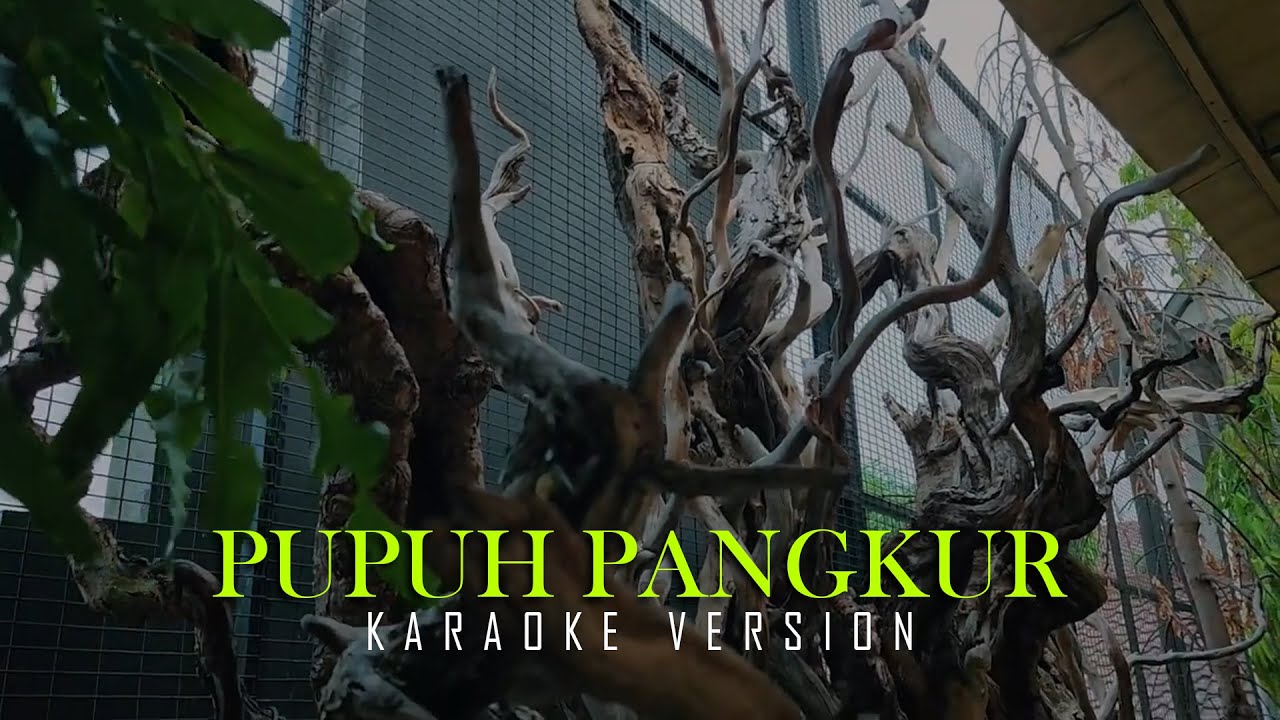 PUPUH PANGKUR (P Nataprawira) - Karaoke Version
