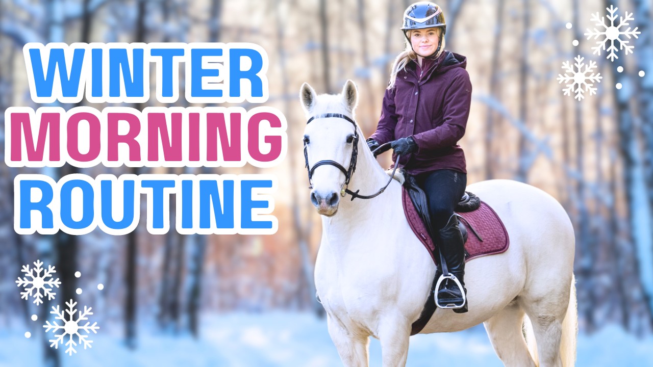 Зимняя утренняя рутина — Эта Эсме