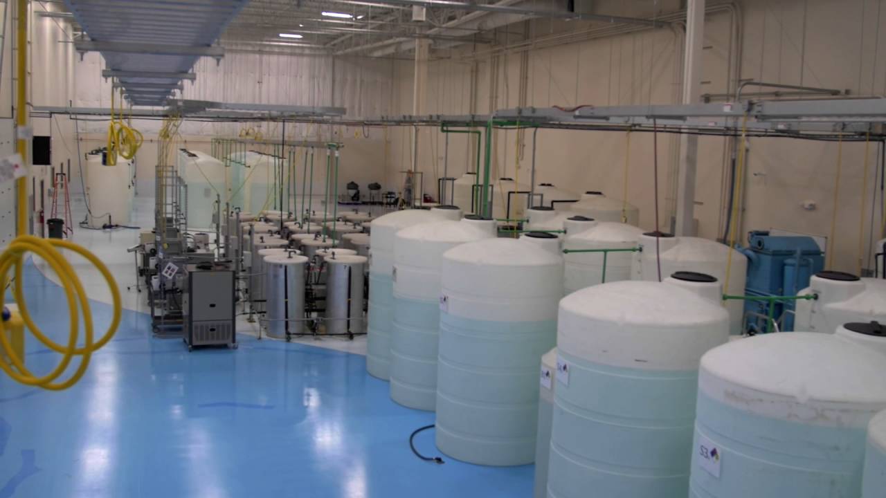 ASEA Case Study - SnapFulfil Warehouse Management System