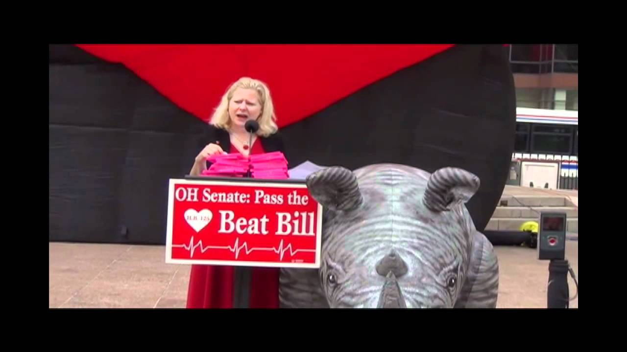 Declaring Open Season on RINOs
