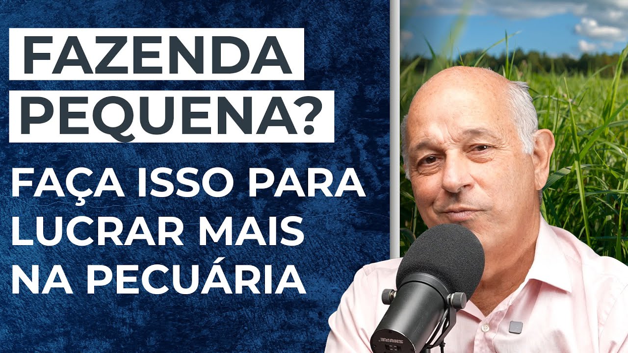 COMO LUCRAR na PECUÁRIA em uma ÁREA de até 500 HECTARES?