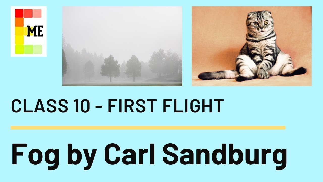 Fog Poem | Class 10 | Explained with Literary Devices | First Flight Book Poem 9 | CBSE