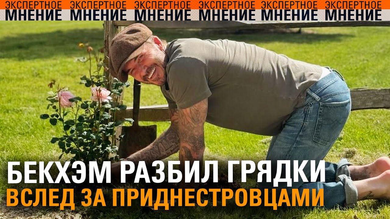 Бекхэм разбил грядки вслед за приднестровцами. Экспертное мнение ТСВ 28.01.2026