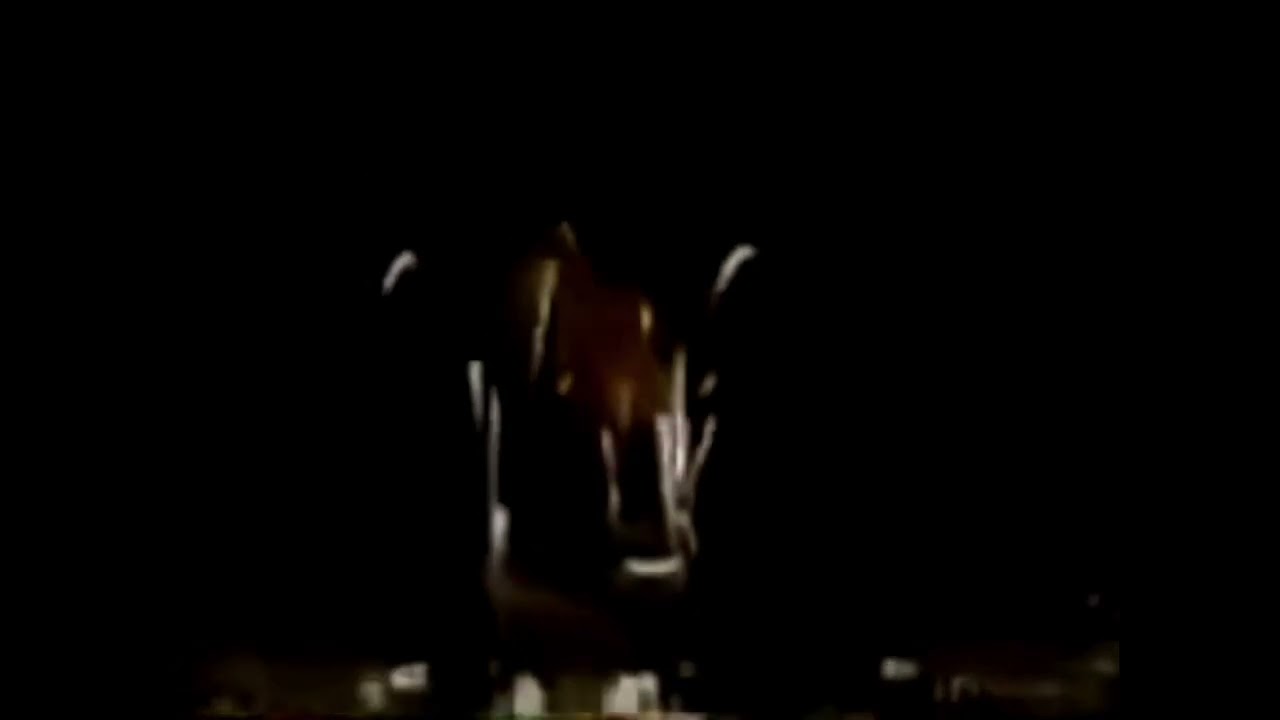 Teleton 1995 - Cierre Completa