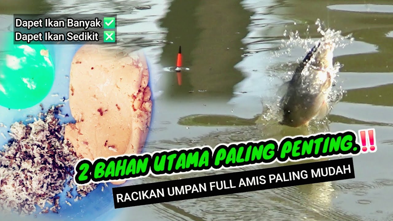 Wajib Coba! Racikan umpan dasaran full amis ‼️Resep umpan paling sederhana