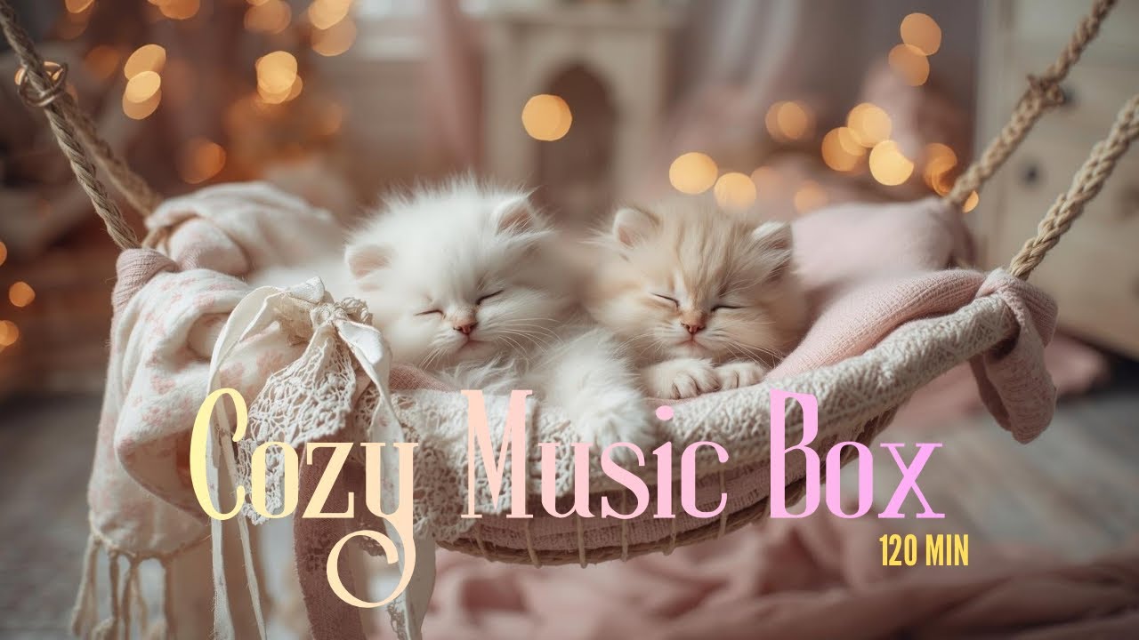Good Night Music Box（2H）🌙😴｜Baby Sleep Lullabies｜赤ちゃん寝かしつけ｜아기 자장가｜Cozy Kitten Mix#02