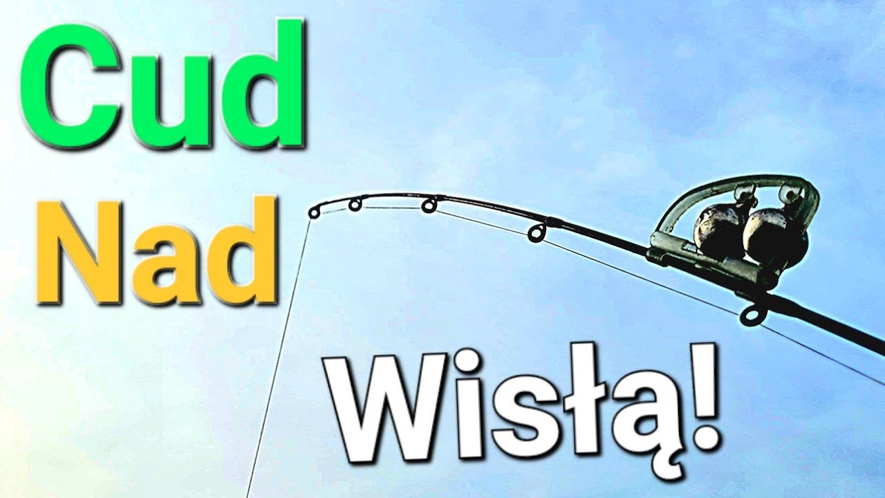 Potężna Ryba z Rzeki!! Rekord z Wisły! Niespodziewana Ryba! Wędkarstwo Klasyczny Feeder Spławik PZW!