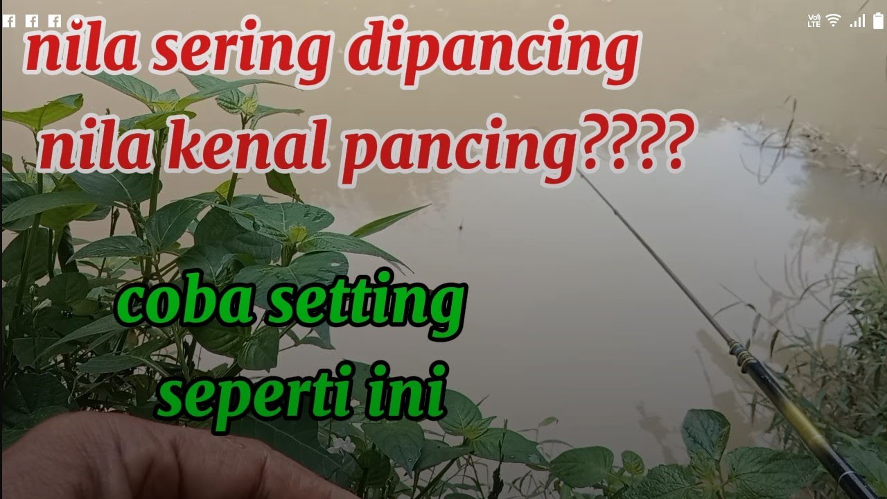 nila susah dipancing?? nila kenal pancing?? spot sering dipancing?? coba setting sprti ini