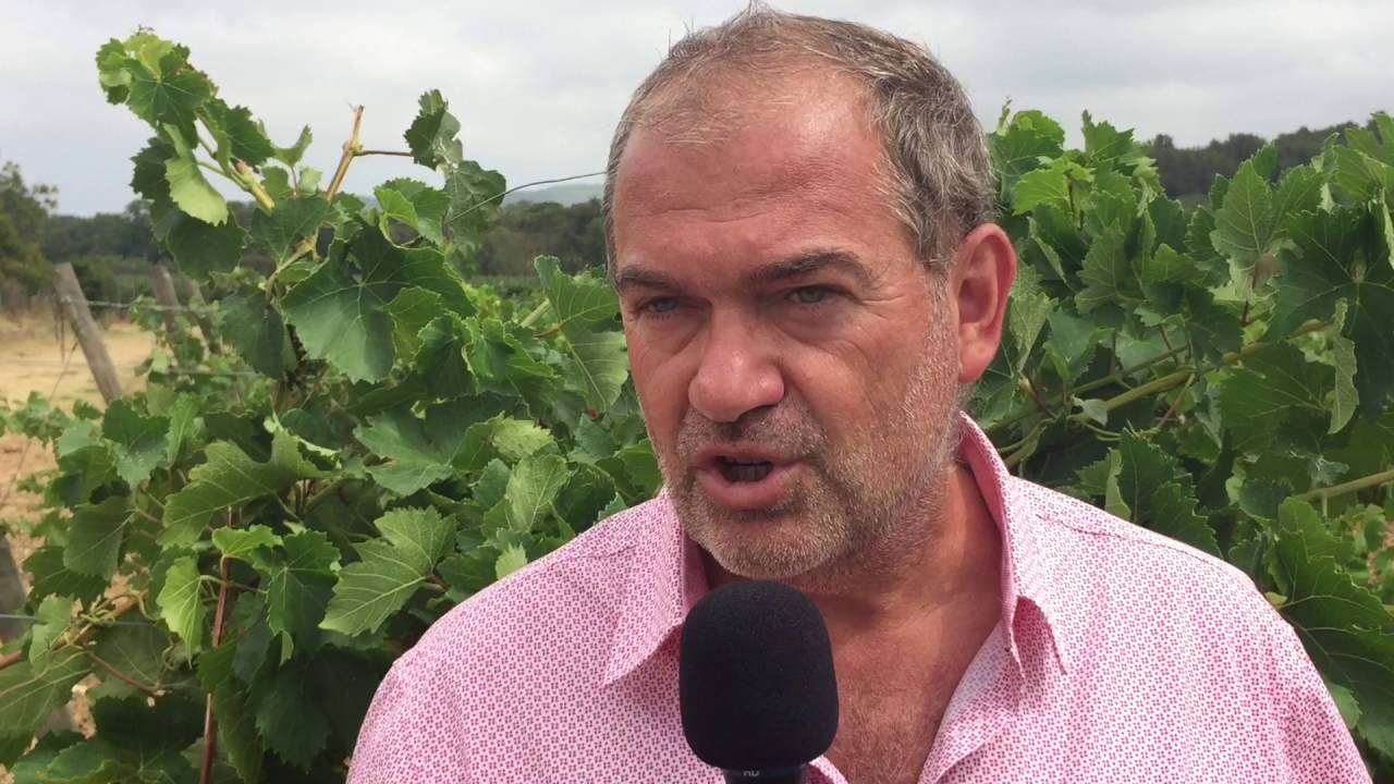 RICHARD PLANAS, DIRECTEUR DES DOMAINES, &Eacute;VOQUE L'AMBITION DU GROUPE G&Eacute;RARD BERTRAND