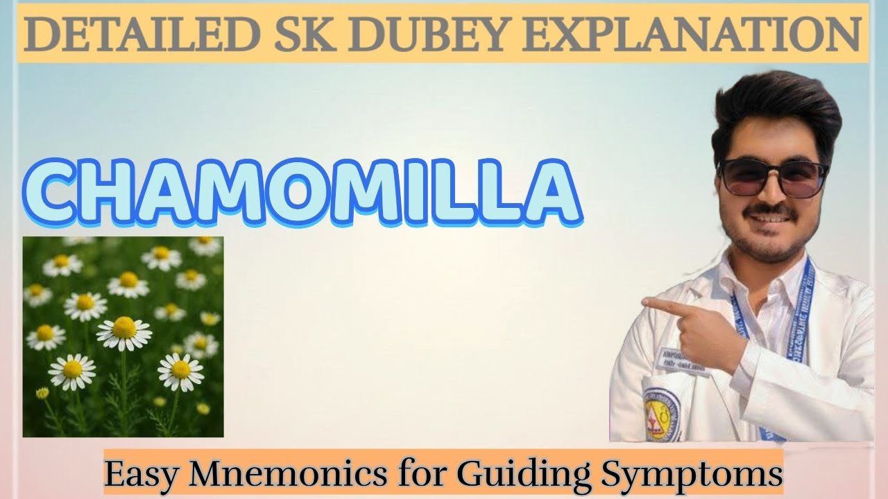 CHAMOMILLA (Understanding Remedy in a Simple Way 🌿)