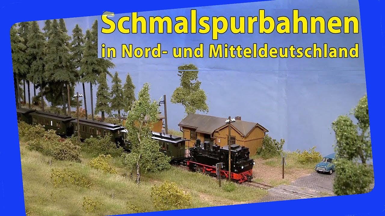 Vorbildliche Modellbahnen: Schmalspurbahnen in Nord- und Mitteldeutschland im Maßstab 1:87
