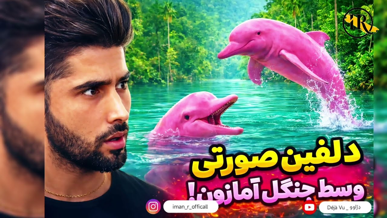 💥سال ها پنهان بودن 🐬 اما بالاخره دیده شدن | دلفین‌های صورتی وسط جنگلهای آمازون 🐬🩷