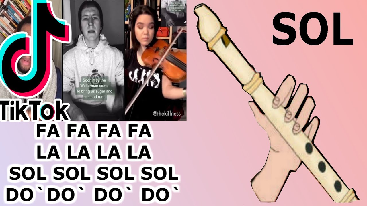 TikTok, The Wellerman, flauta dulce fácil, easy flute recorder, flauta doce, flauto dolce