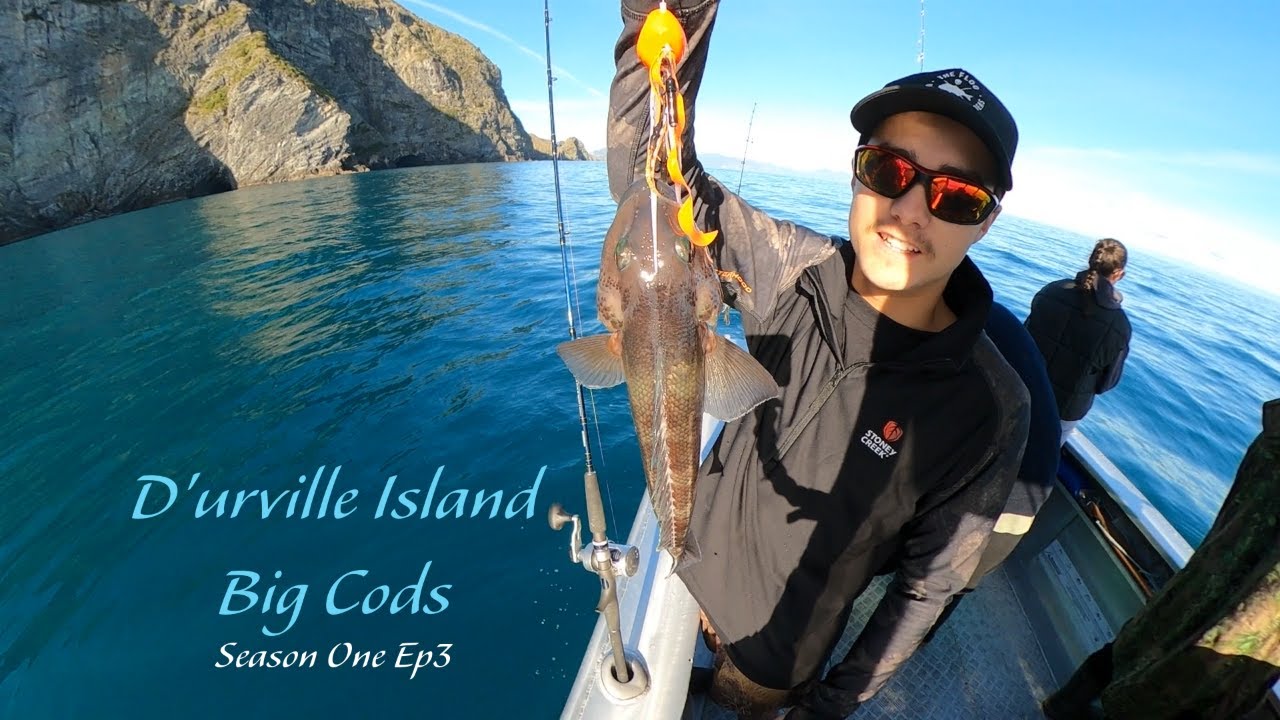 Family Fishing Out Of Okiwi Bay Big Cod (Season 1 ep3)
