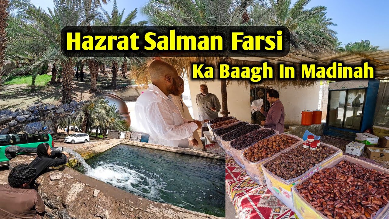 Hazrat Salman Farsi Ka Baagh In Madinah | Huzoor ﷺ Ne Yahan 300 Tree's 🌳 Lagaye 😍