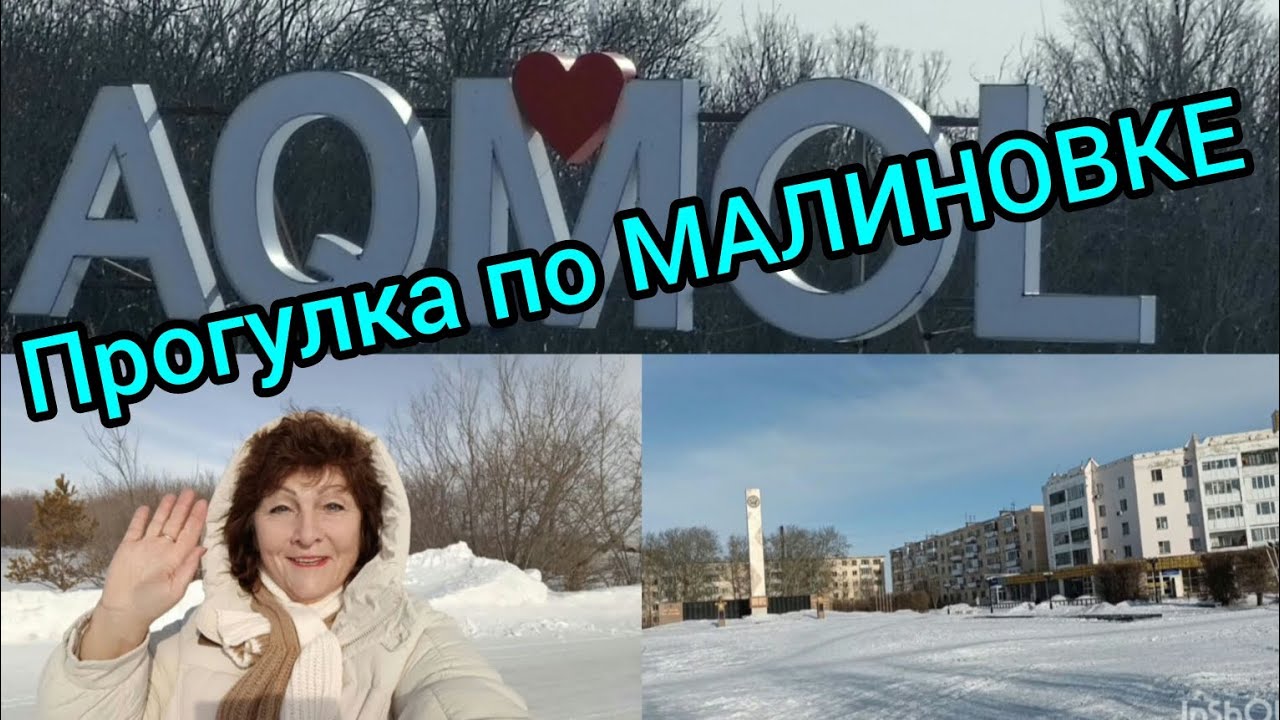 Прогулка по Малиновке.🙌а.Акмол.20 февраля.