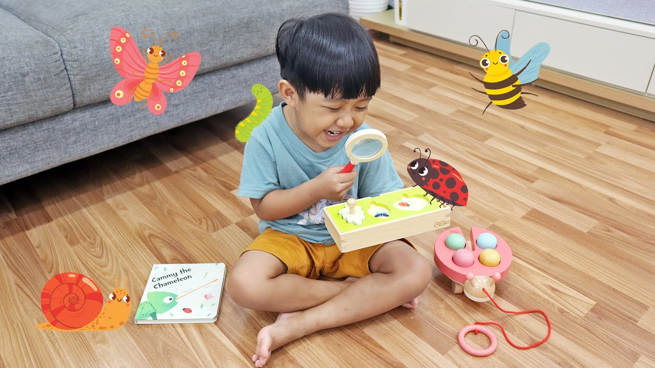 Kyo Punya Mainan Tentang Serangga
