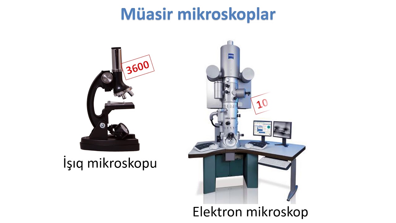 Biologiya 6-cı sinif 6. Laboratoriya avadanlıqları